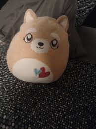 John Montfort (@elbolillo003)