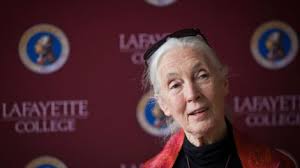 Bryan Hay, Author at News