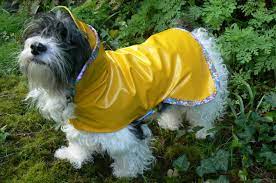Cute Dog Rain Coat Hat Sold Separately Add 15 00 Custom Made To Your Dogs Measurements Quality Made Lined And Light Weig Raincoat Kids Cute Dogs Raincoat