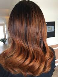 The Beauty Bar Balayage Hair Copper Pumpkin Spice Hair Copper Hair Color