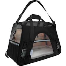 Find the best carrier for airplane, car travel and more. Cat Carriers Doors Enclosures Free Shipping Petco