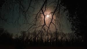 15 μαίου 08:44:41 π.μ., η σελήνη περνάει 21 μαίου 03:19:26 μ.μ., η σελήνη περνάει στους ιχθείς. Panselhnos Selhniakh Ekleipsh Stis 26 Maioy 2021 Pws 8a Ephreasei Ta 12 Zwdia Trikalavoice