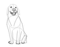 See more ideas about pictures to draw, drawings, art drawings. How To Draw A Dog Step By Step Wacom