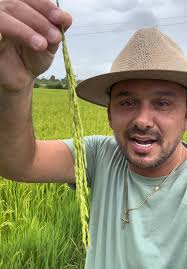 Colheita Abençoada: Preparativos no Agro Brasileiro