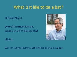 Not many people think about what it's like to be a bat, but for those who do, it's enlightening and potentially groundbreaking for understanding aspects of the human brain her new research suggests there is more to studying bats than figuring out how they process sound to distinguish environments. The Mind Body Problem What It Is Like To Be A Bat Ppt Download