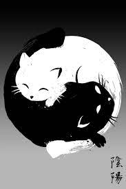 Wall Art Print | Yin Yang cats | Abposters.com