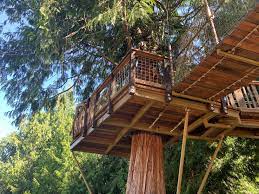 Maybe you would like to learn more about one of these? The Treehouse