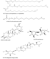 Image result for Afrostyrax