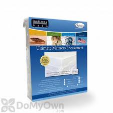 If you want to prevent bug infestation in your bed, a mattress encasement is a necessity. Bed Bug Mattress Covers Bed Bug Bed Covers Mattress Encasements