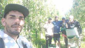 Son de Santa Rosa de Leales,Tucumán. Sergio Castillo, Gabriel Castillo,  Rubén Castillo, Emmanuel Suárez y Daniel Costilla. Se encuentran cosechando  peras en Centenario, Neuquén.