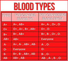 What Blood Type Can Donate To What Blood Type Google