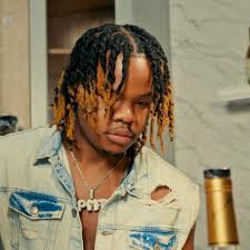 Pidy Brake fans page