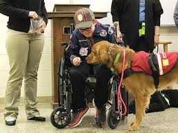 Check spelling or type a new query. Service Dog Trainer School School For Dog Trainers