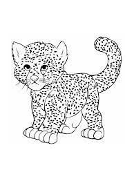 Cheetah cub mulch coloring system psubarstool com. Cheetah Coloring Pages 100 Pictures Free Printable