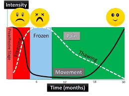 Image result for Shoulder History