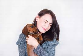 Check spelling or type a new query. Lost And Found Animals