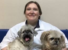 Get the inside scoop on jobs, salaries, top office locations, and ceo insights. Las Vegas Vets At Vca Warm Springs Animal Hospital