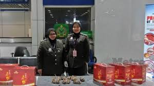Walaupun kedai buku tradisional di as masih menghasilkan sekitar $ 10 bilion setahun, pendapatan mereka menunjukkan penurunan yang stabil, terutamanya disebabkan oleh sama ada anda seorang penulis yang ingin menjual buku mereka sendiri atau anda ingin menjual karya orang lain, sangat. Rampas Ketam Bulu Hidup