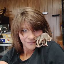 hedgehog rescue and rehoming information