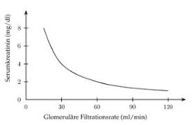 Clearance renale clearance significa depurazione, le la clearance renale di una sostanza è il volume ipotetico di plasma che viene completamente depurato da quella sostanza nell'unità di tempo. Glomerulare Filtrationsrate Der Nieren