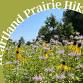 Heartland Prairie Hike event image