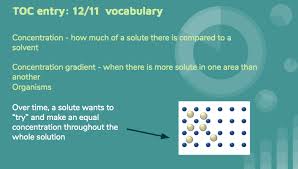 Animal cells are of various sizes and have irregular shapes. Saint Mark School