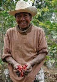 Guatemalan Coffee Is Bomb Guatemala Coffee Coffee Origin Coffee Pictures