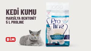 bim kedi kumu bentonit youtube