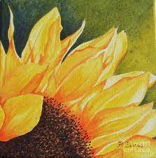Sunflower Up Close By Frances Evans Sunflower Painting Sunflower Art Art