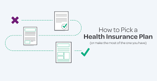 Find updated content daily, delivering top results from across the web. How To Pick A Health Insurance Plan Or Make The Most Of The One You Have The Daily Dose Cdphp Blog