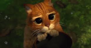 Cat Shrek Gif Cat Shrek Please Discover Share Gifs Shrek Cat Shrek Animals