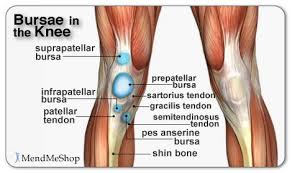 Maybe you would like to learn more about one of these? Pin On I Work Out