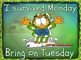 Happy tuesday messages, happy tuesday quotes for you and yours. 57 Best Tuesday Meme Images Good Morning Good Night Morning Quotes Tuesday Cute766