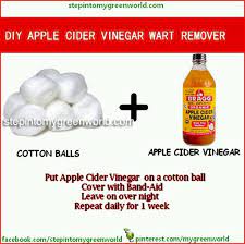 Wart Remover Apple Cider Vinegar Warts Apple Cider Benefits Apple Cider Vinegar For Skin