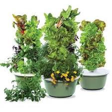 Growing tomatoes is easy with tower garden. Tower Garden Benefits