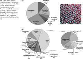 pie charts showing isolation frequency of different fungal