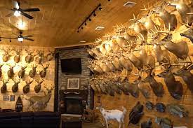 Hunting whitetail at the jl bar. Ohio Man S Insane Trophy Room Features 70 Pope And Young Bucks