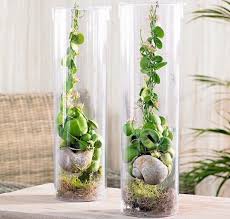 Di origine orientale, le originali e suggestive composizioni floreali a differenza della cultura occidentale, in cui gli elementi floreali hanno una funzione prevalentemente decorativa, in oriente attraverso i fiori si. Arredare Casa Con I Fiori E Piante Le Idee Colorate Per La Bella Stagione Fioriere Interne Decorazioni Vegetali Piante Da Interno