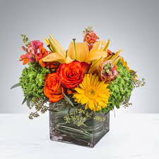 Hours may change under current circumstances Citrus Splash By Bloomnation In Great Falls Mt Great Falls Floral Gifts