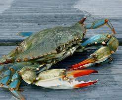 Jeffpoirierphotography Blue Crabs Art Crab Art Crab Painting