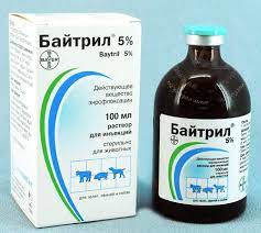 Для голубей