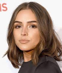 Hair Color Chestnut Hair Color Brunette Hair Inspiration Brunette Hair Color