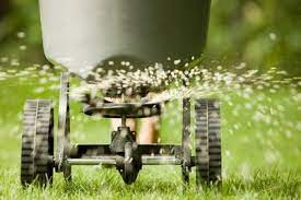 Learn how and when to fertilize your lawn—and how to pick a fertilizer. When To Fertilize Lawn Grass Fertilizer Tips