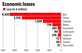 Weeds Cause Annual Crop Loss Of 11 Billion In India Says Study Latest News India Hindustan Times