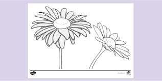 Remember that daisies are usually yellow and white flowers, yet these are fun no matter which colors you use. Free Daisy Colouring Colouring Sheets Teacher Made