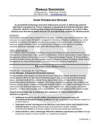 professional resume sample shimmering