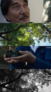 31 idee su perfect days da salvare oggi