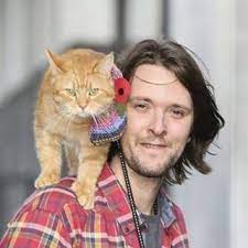 7 276 abonnenten 11 folgen 140 beitrage sieh dir instagram fotos und videos von james bowen amp bob der a cat named bob russian blue cat street cat bob