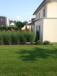 Gräser bringen struktur in den garten. Pin Auf Moderner Garten