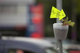 Guerilla Gardening Im Ruhrgebiet Ein Interview Gardening Grune Ideen Ruhrgebiet